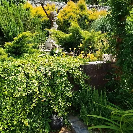 Garage * ドニー・ミラノヴァツ